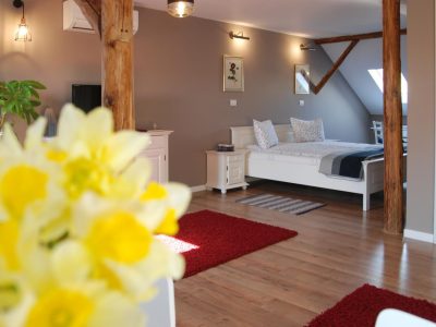 Apartment House Timisoara